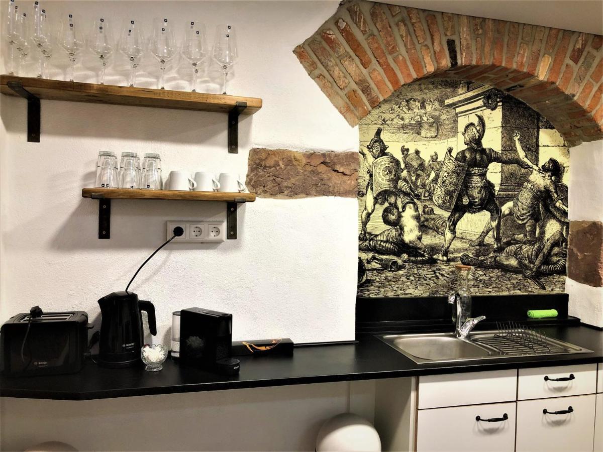 פרייבורג Luxus Apartment Colloseum In Der Stadt מראה חיצוני תמונה